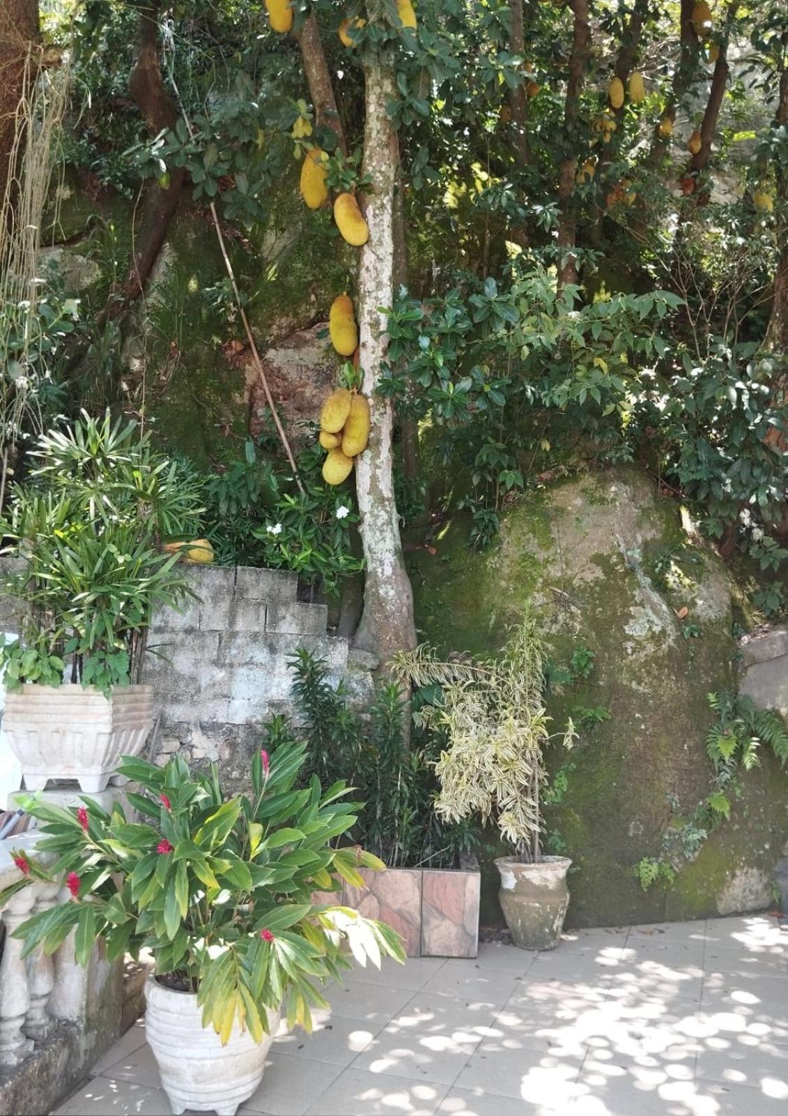 Casa Luzes Ivn Hostel *